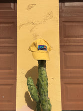 Load image into Gallery viewer, James the AZ Hat - Phoenix Sunshine Yellow
